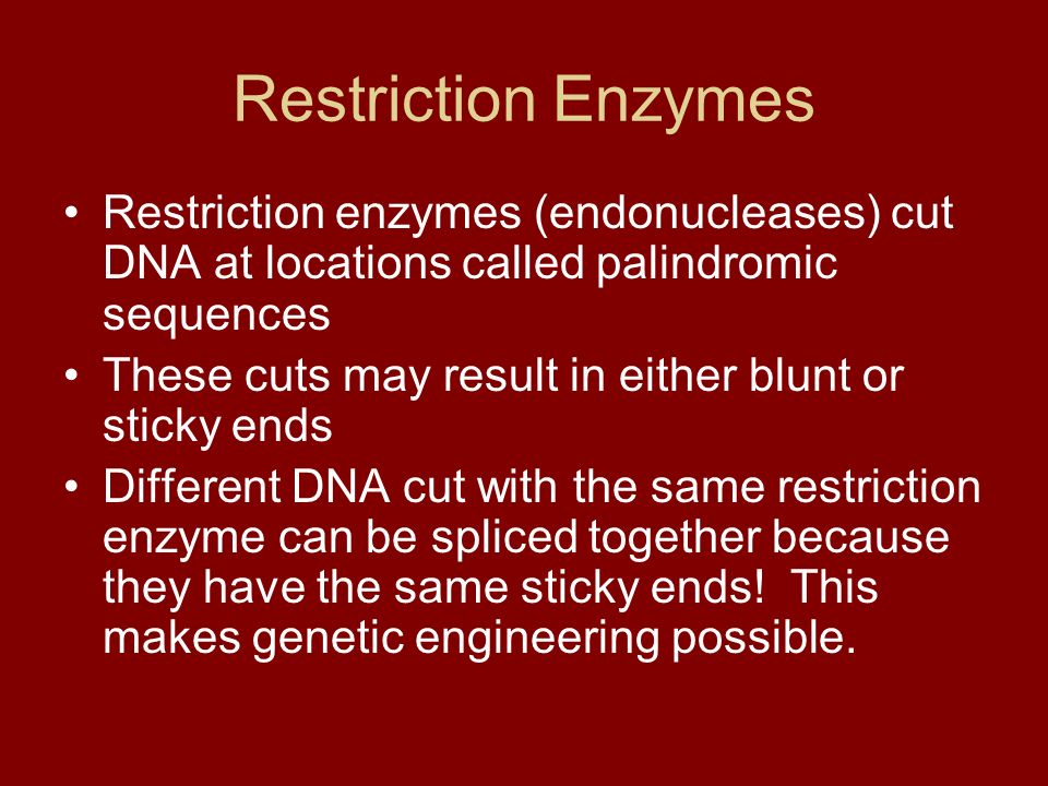Restriction Enzymes Restriction enzymes (endonucleases) cut DNA at locations called palindromic sequences These cuts may result in either blunt or sticky ends Different DNA cut with the same restriction enzyme can be spliced together because they have the same sticky ends.