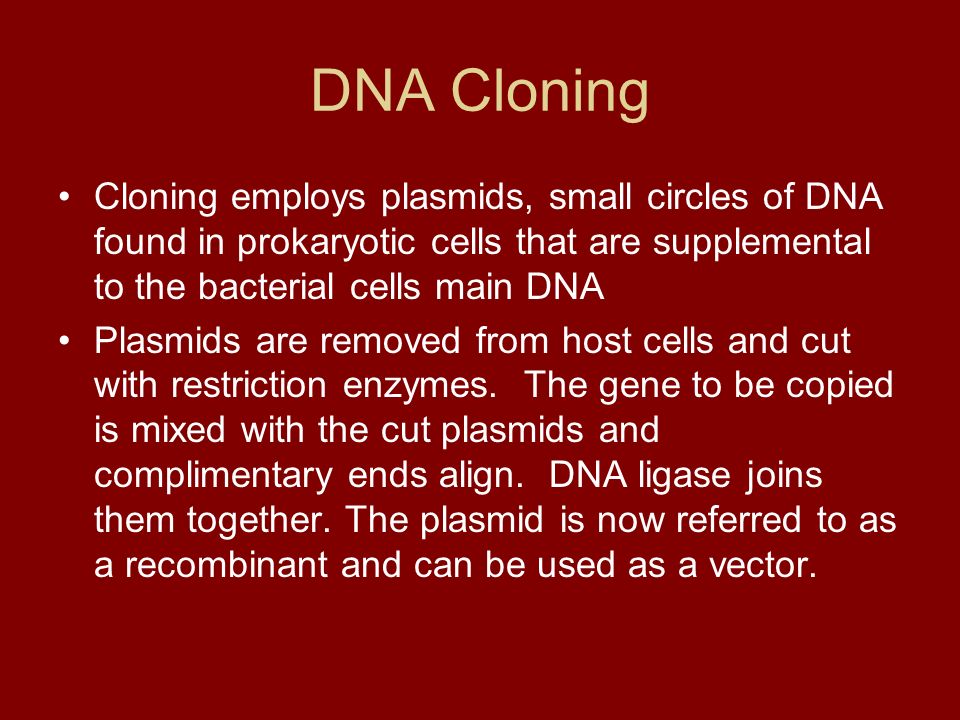 DNA Cloning Cloning employs plasmids, small circles of DNA found in prokaryotic cells that are supplemental to the bacterial cells main DNA Plasmids are removed from host cells and cut with restriction enzymes.