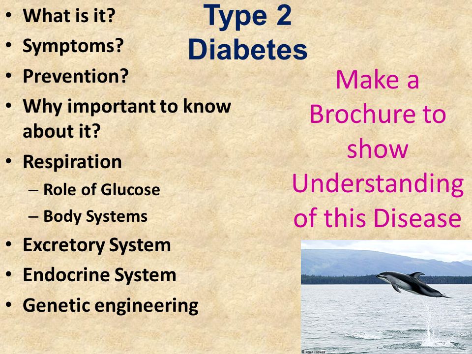 Type 2 Diabetes What is it. Symptoms. Prevention.