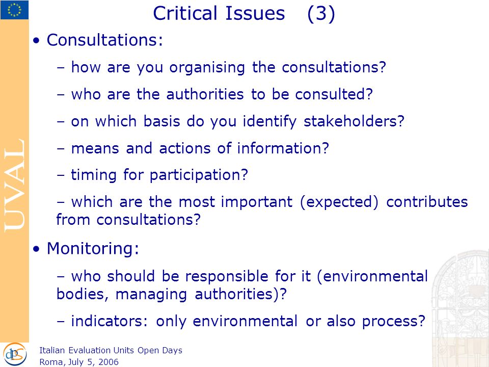 Critical Issues (3) Consultations: – how are you organising the consultations.