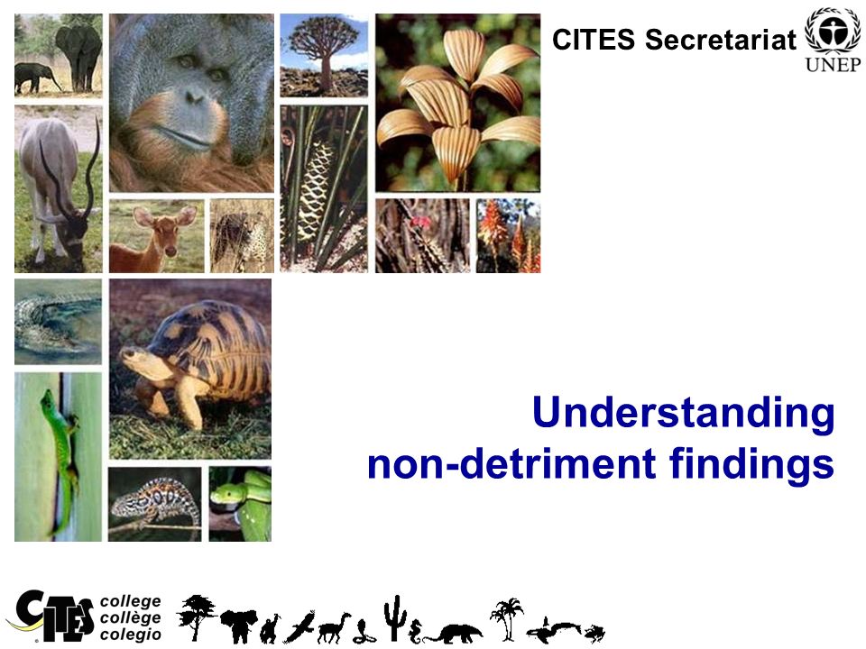 1 Convention on International Trade in Endangered Species of Wild Fauna and Flora Understanding non-detriment findings CITES Secretariat