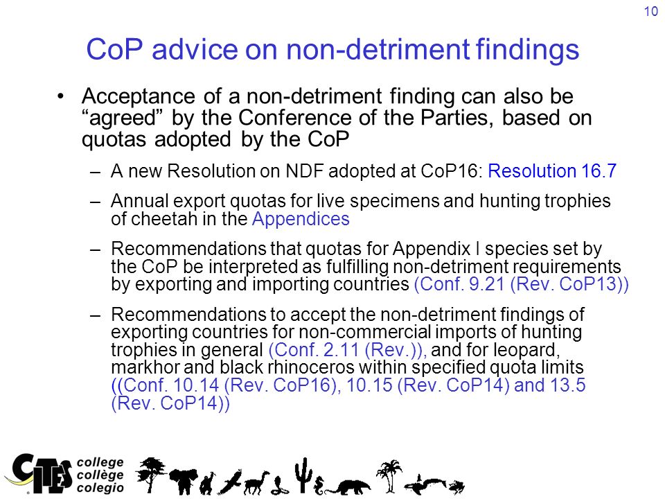 10 CoP advice on non-detriment findings Acceptance of a non-detriment finding can also be agreed by the Conference of the Parties, based on quotas adopted by the CoP –A new Resolution on NDF adopted at CoP16: Resolution 16.7 –Annual export quotas for live specimens and hunting trophies of cheetah in the Appendices –Recommendations that quotas for Appendix I species set by the CoP be interpreted as fulfilling non-detriment requirements by exporting and importing countries (Conf.