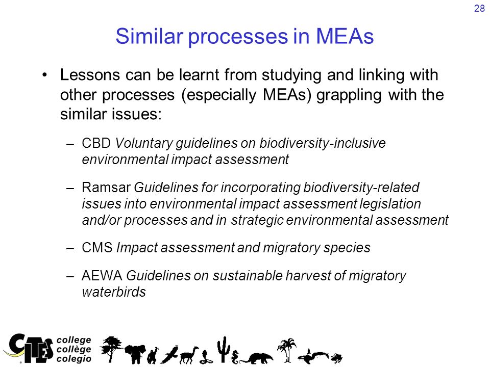 28 Similar processes in MEAs Lessons can be learnt from studying and linking with other processes (especially MEAs) grappling with the similar issues: –CBD Voluntary guidelines on biodiversity-inclusive environmental impact assessment –Ramsar Guidelines for incorporating biodiversity-related issues into environmental impact assessment legislation and/or processes and in strategic environmental assessment –CMS Impact assessment and migratory species –AEWA Guidelines on sustainable harvest of migratory waterbirds