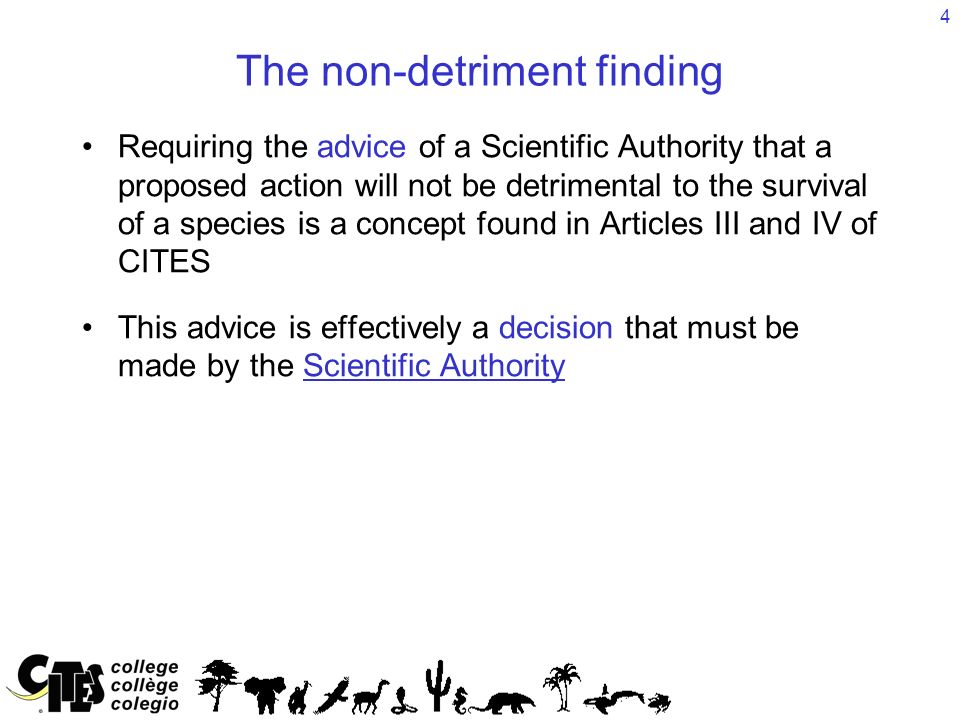 4 The non-detriment finding Requiring the advice of a Scientific Authority that a proposed action will not be detrimental to the survival of a species is a concept found in Articles III and IV of CITES This advice is effectively a decision that must be made by the Scientific Authority