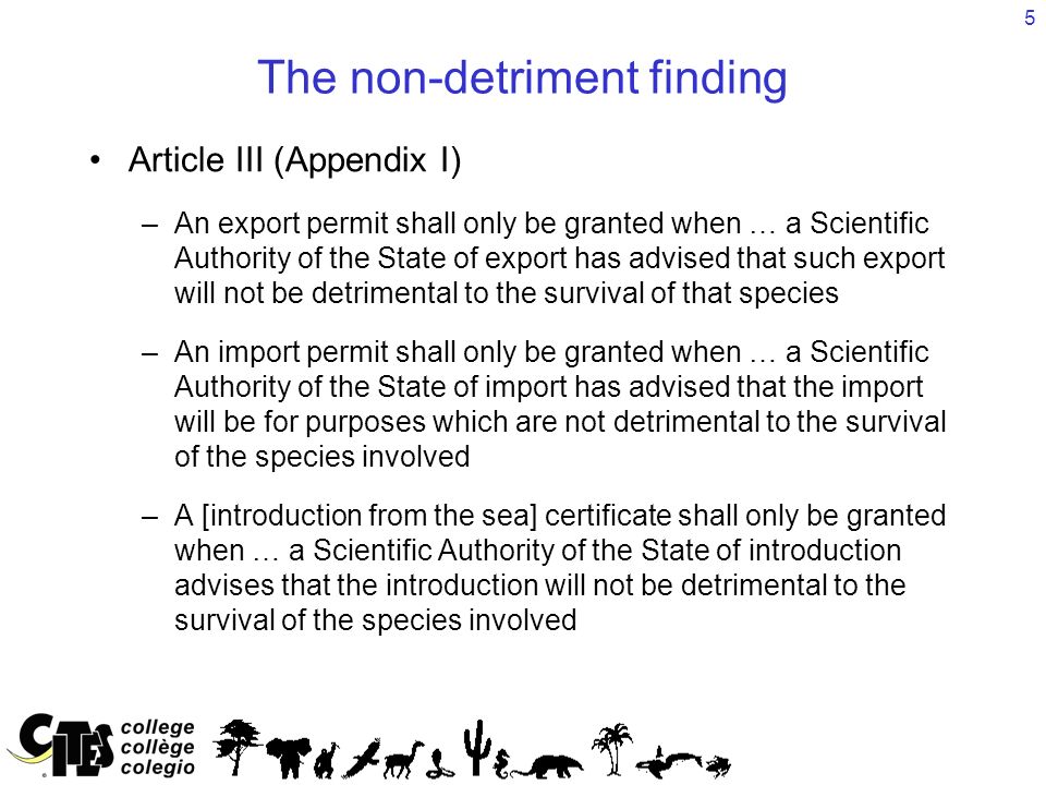 5 Article III (Appendix I) –An export permit shall only be granted when … a Scientific Authority of the State of export has advised that such export will not be detrimental to the survival of that species –An import permit shall only be granted when … a Scientific Authority of the State of import has advised that the import will be for purposes which are not detrimental to the survival of the species involved –A [introduction from the sea] certificate shall only be granted when … a Scientific Authority of the State of introduction advises that the introduction will not be detrimental to the survival of the species involved The non-detriment finding