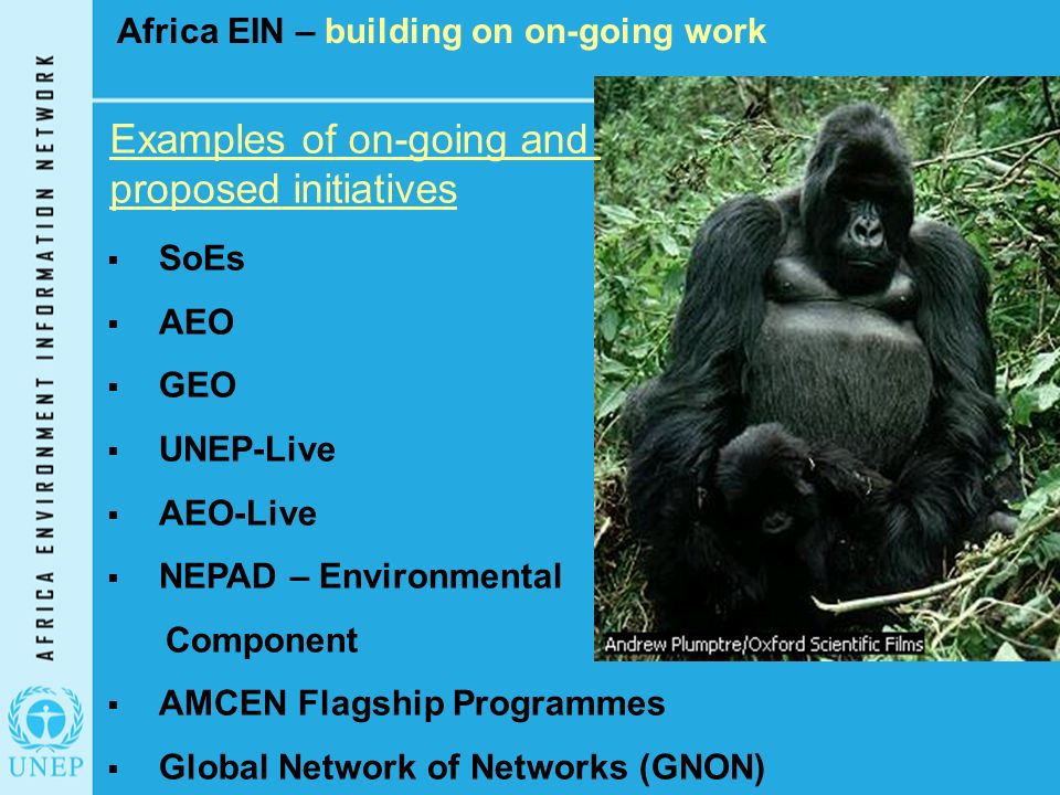 Africa EIN – building on on-going work Examples of on-going and proposed initiatives  SoEs  AEO  GEO  UNEP-Live  AEO-Live  NEPAD – Environmental Component  AMCEN Flagship Programmes  Global Network of Networks (GNON)