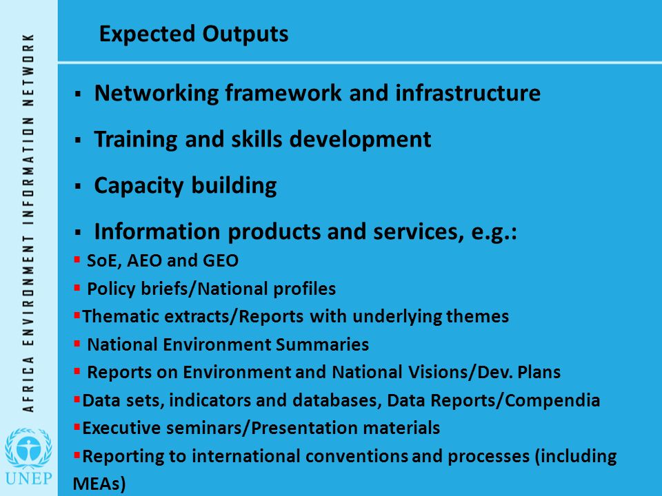 Expected Outputs  Networking framework and infrastructure  Training and skills development  Capacity building  Information products and services, e.g.:  SoE, AEO and GEO  Policy briefs/National profiles  Thematic extracts/Reports with underlying themes  National Environment Summaries  Reports on Environment and National Visions/Dev.