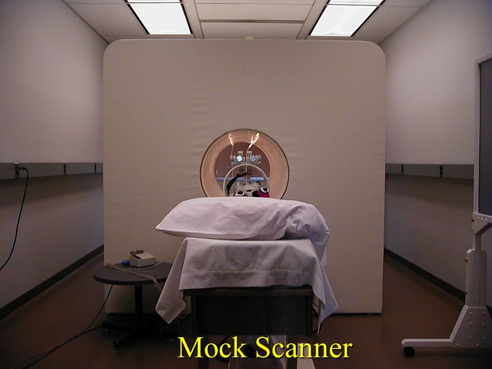 Mock Scanner