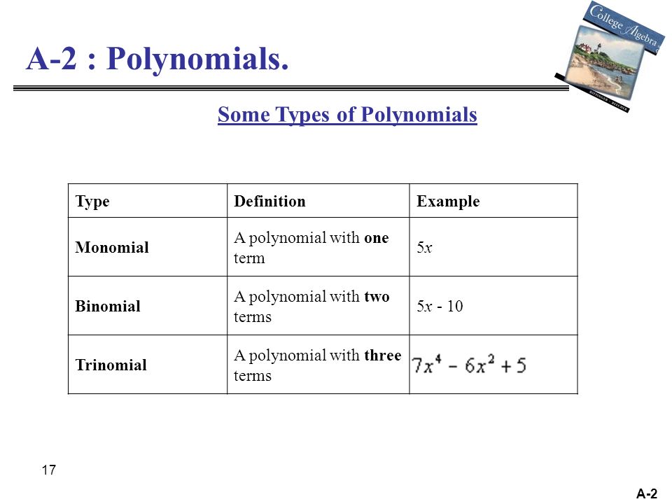 17 A-2 A-2 : Polynomials.
