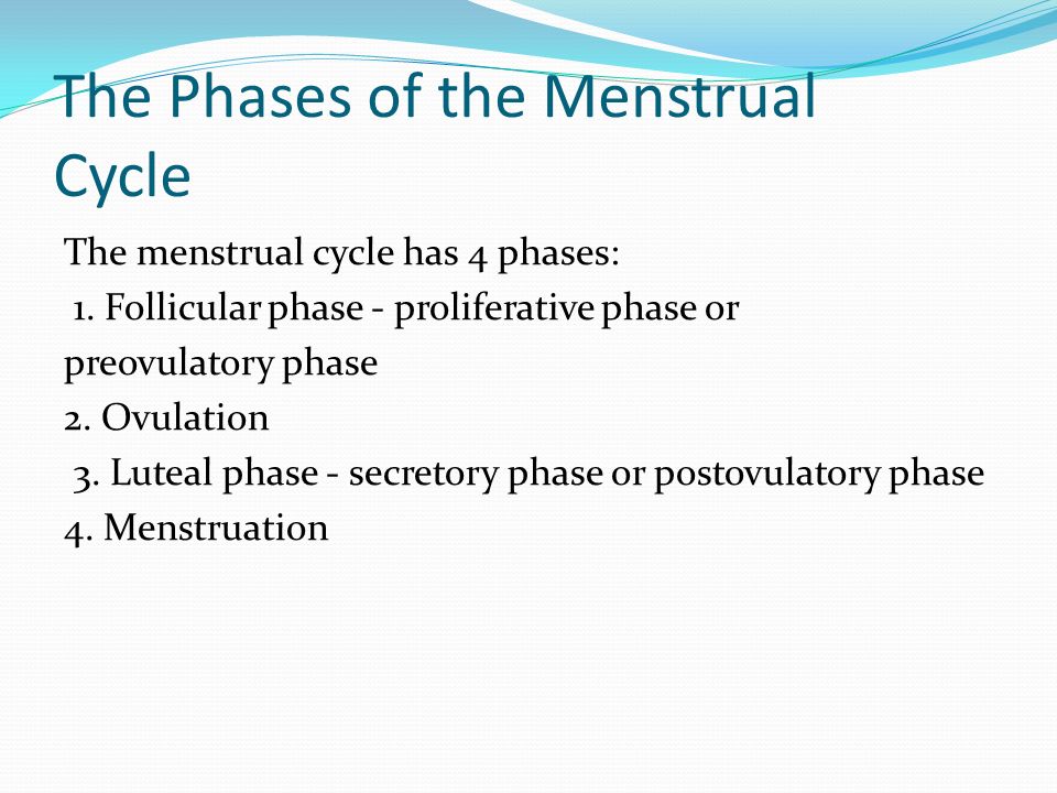 4 phases of menstrual cycle