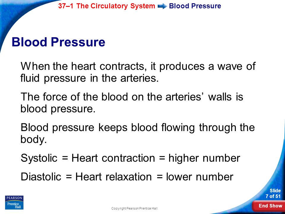 End Show 37–1 The Circulatory System Slide 7 of 51 Copyright Pearson Prentice Hall Blood Pressure When the heart contracts, it produces a wave of fluid pressure in the arteries.