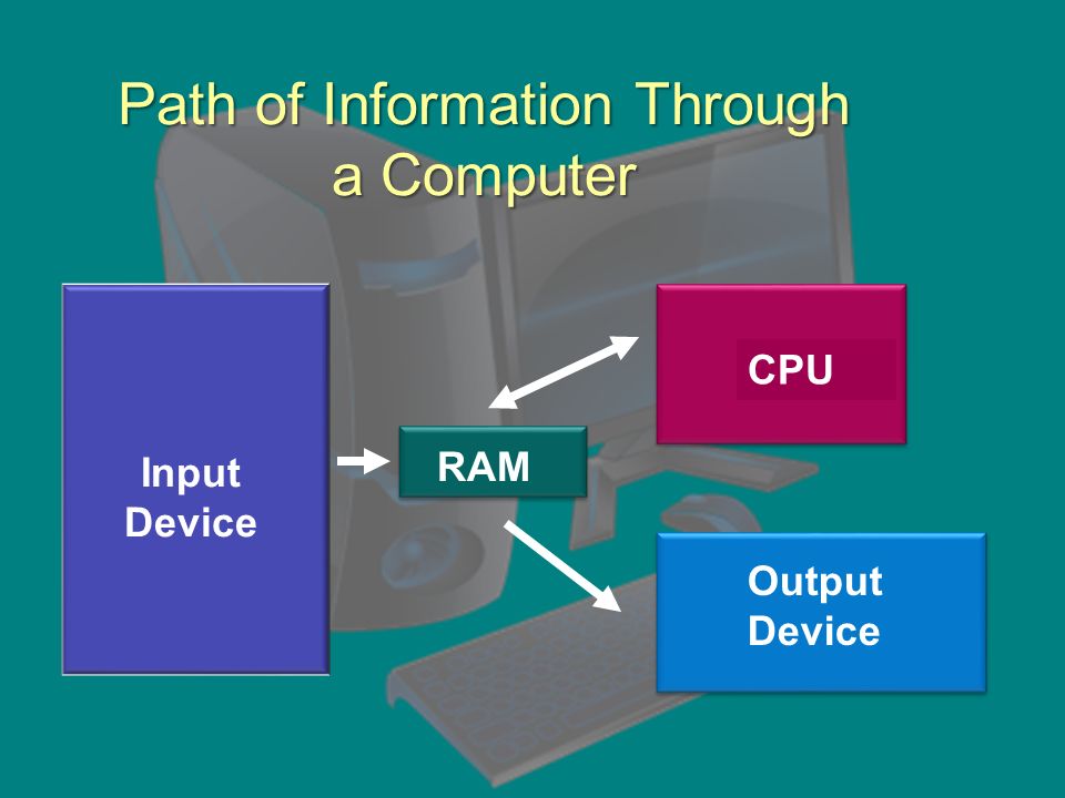 Path of Information Through a Computer Input Device RAM CPU Output Device