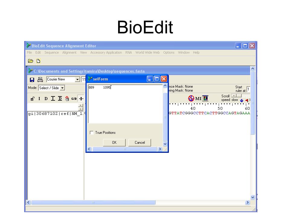 how to lock spaces in bioedit how to lock spaces in bioedit