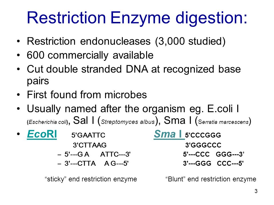 Some Molecular Biology Techniques 1. Some molecular things Restriction  Enzyme digestion Ligation of DNA Cloning DNA PCR cDNA synthesis Gel  electrophoresis. - ppt download