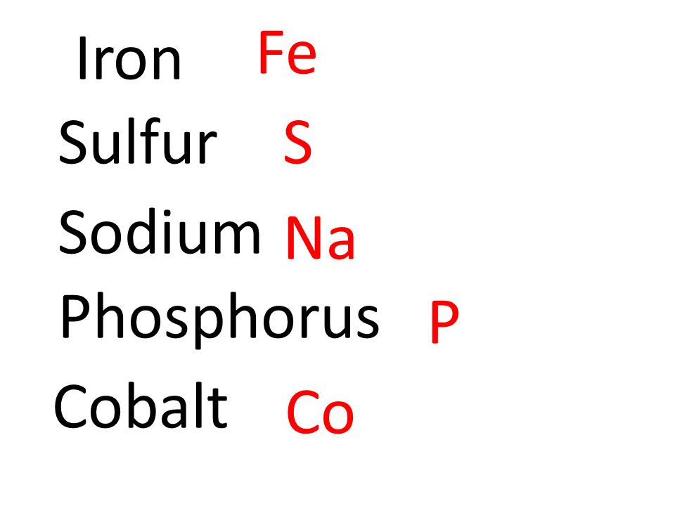 Iron Fe SulfurS Sodium Na Phosphorus P Cobalt Co