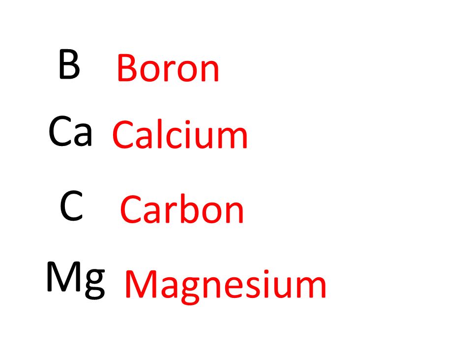 B Boron Ca Calcium C Carbon Mg Magnesium