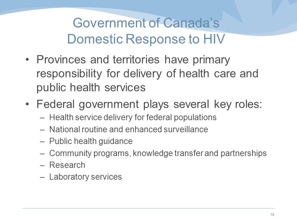 Government of Canada’s Domestic Response to HIV Provinces and territories have primary responsibility for delivery of health care and public health services Federal government plays several key roles: –Health service delivery for federal populations –National routine and enhanced surveillance –Public health guidance –Community programs, knowledge transfer and partnerships –Research –Laboratory services 18