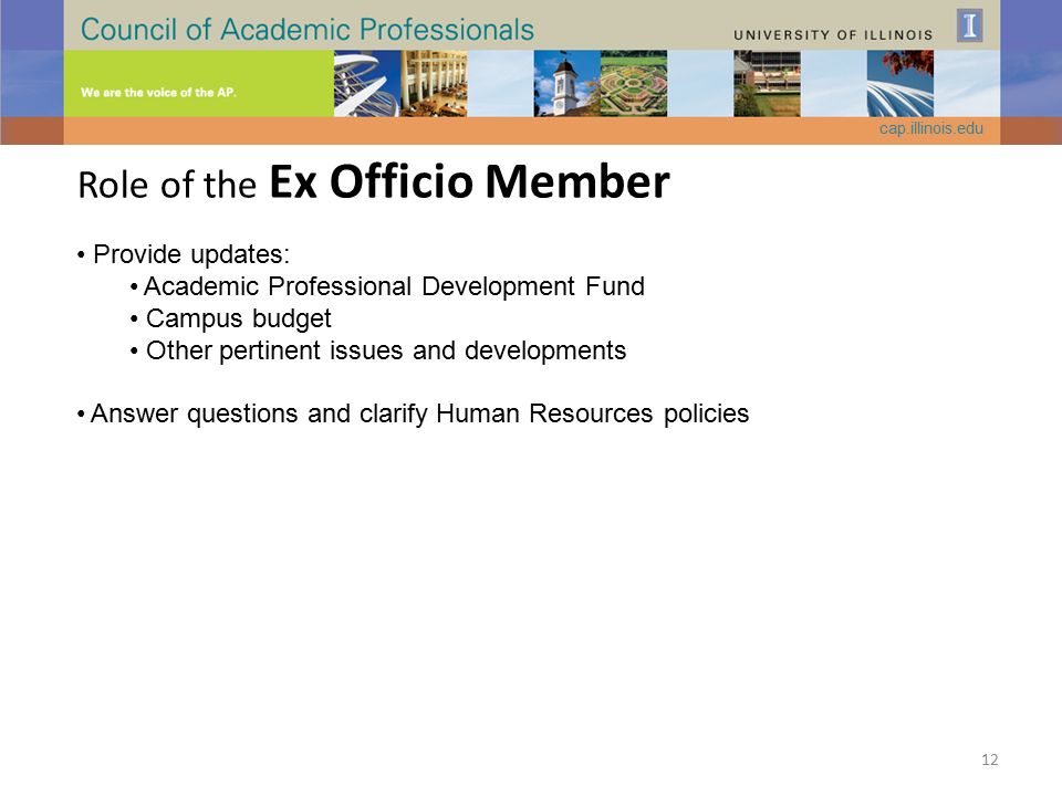 Role of the Ex Officio Member Provide updates: Academic Professional Development Fund Campus budget Other pertinent issues and developments Answer questions and clarify Human Resources policies cap.illinois.edu 12