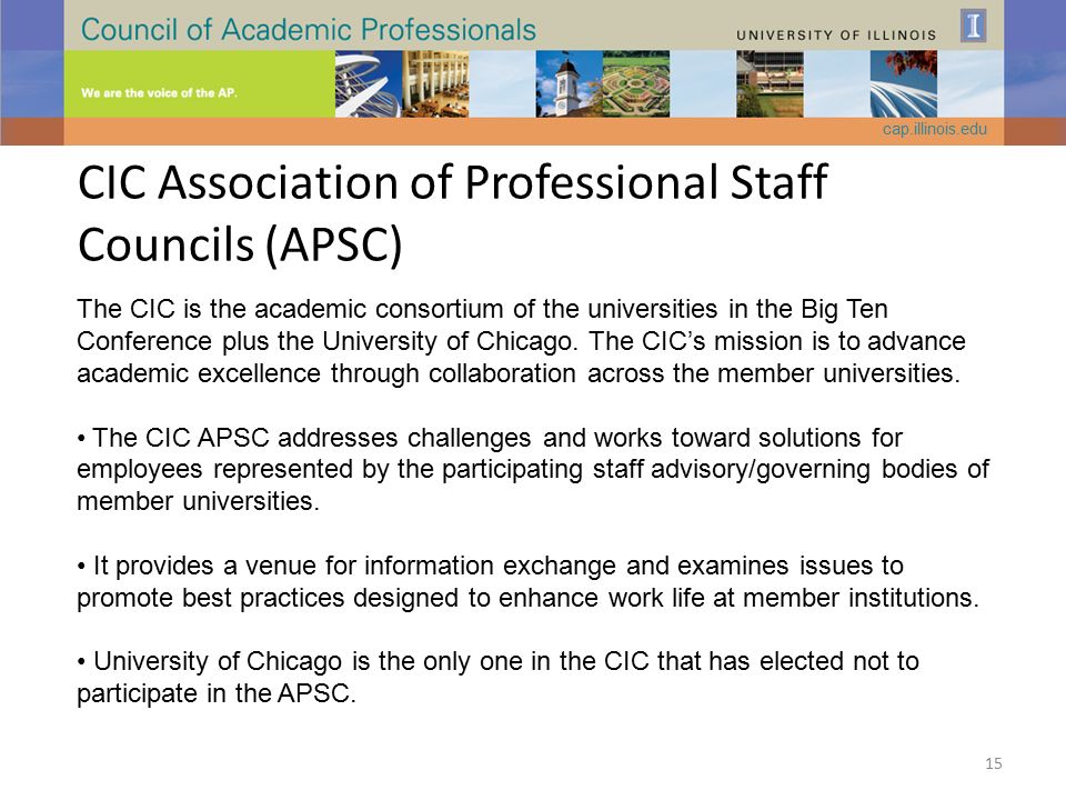 CIC Association of Professional Staff Councils (APSC) The CIC is the academic consortium of the universities in the Big Ten Conference plus the University of Chicago.