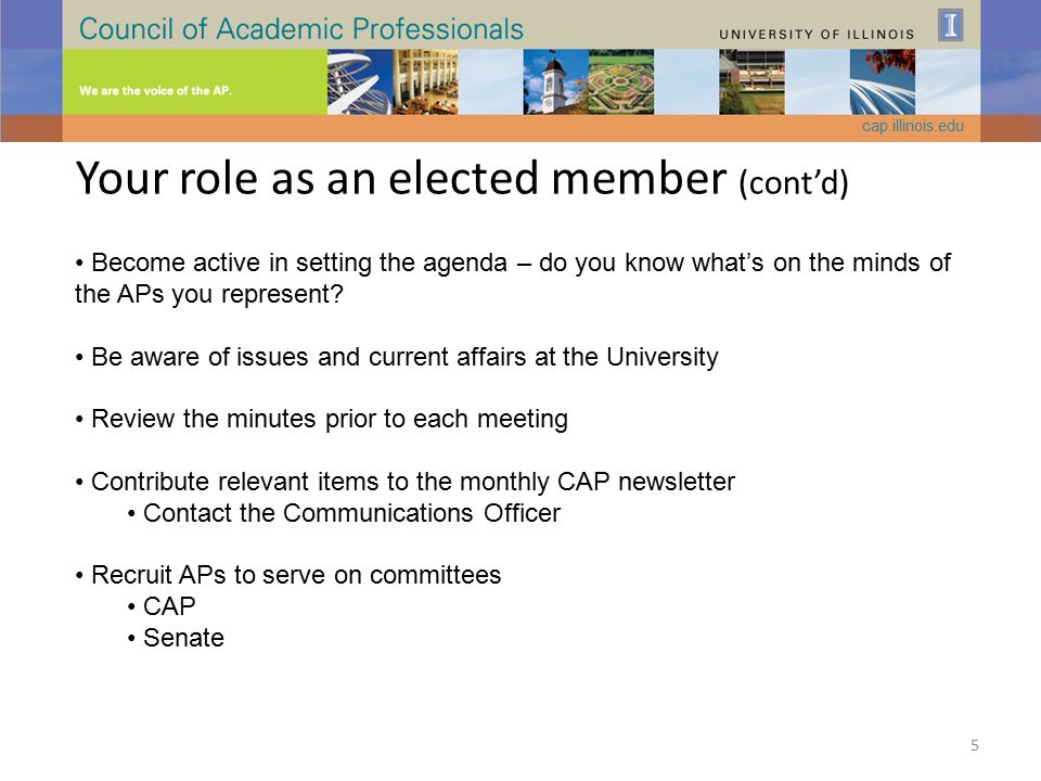 Your role as an elected member (cont’d) Become active in setting the agenda – do you know what’s on the minds of the APs you represent.