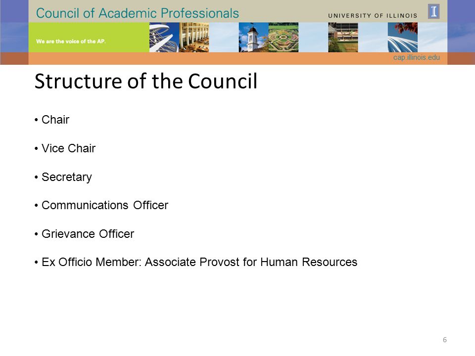 Structure of the Council Chair Vice Chair Secretary Communications Officer Grievance Officer Ex Officio Member: Associate Provost for Human Resources cap.illinois.edu 6