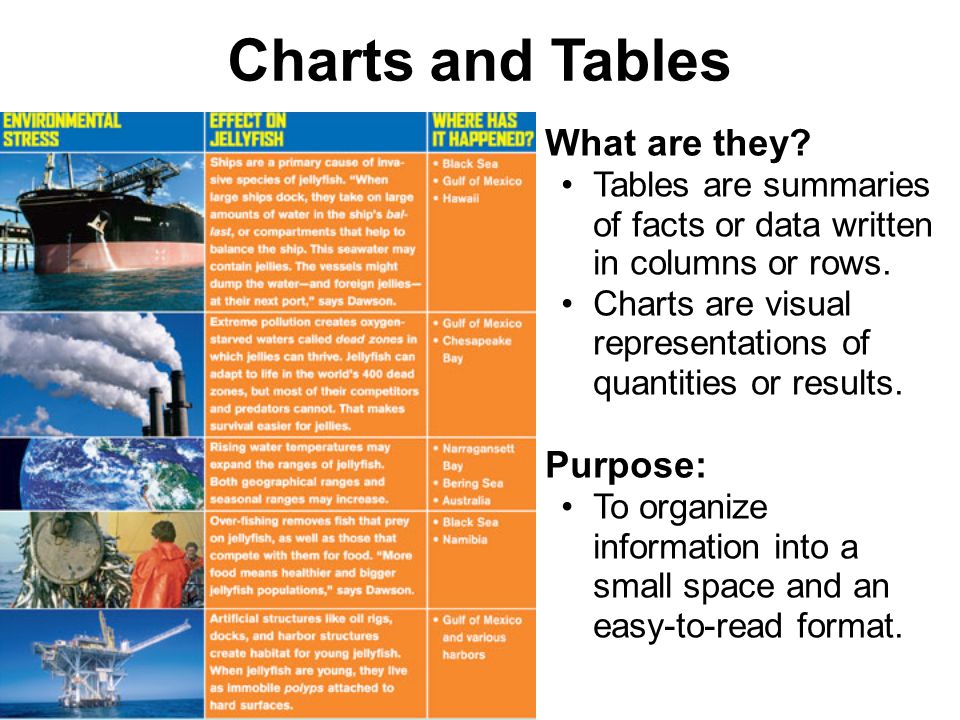 Charts and Tables What are they. Tables are summaries of facts or data written in columns or rows.