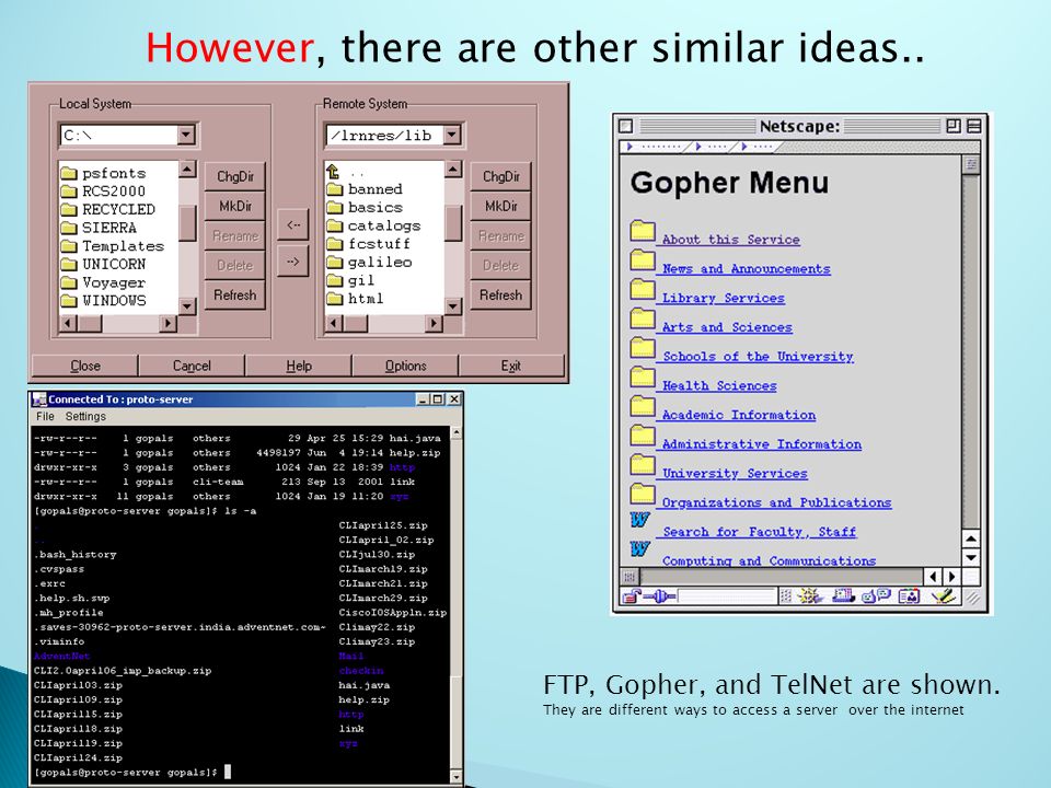 However, there are other similar ideas.. FTP, Gopher, and TelNet are shown.