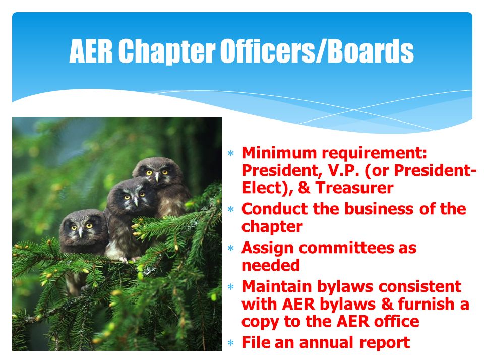 AER Chapter Officers/Boards  Minimum requirement: President, V.P.
