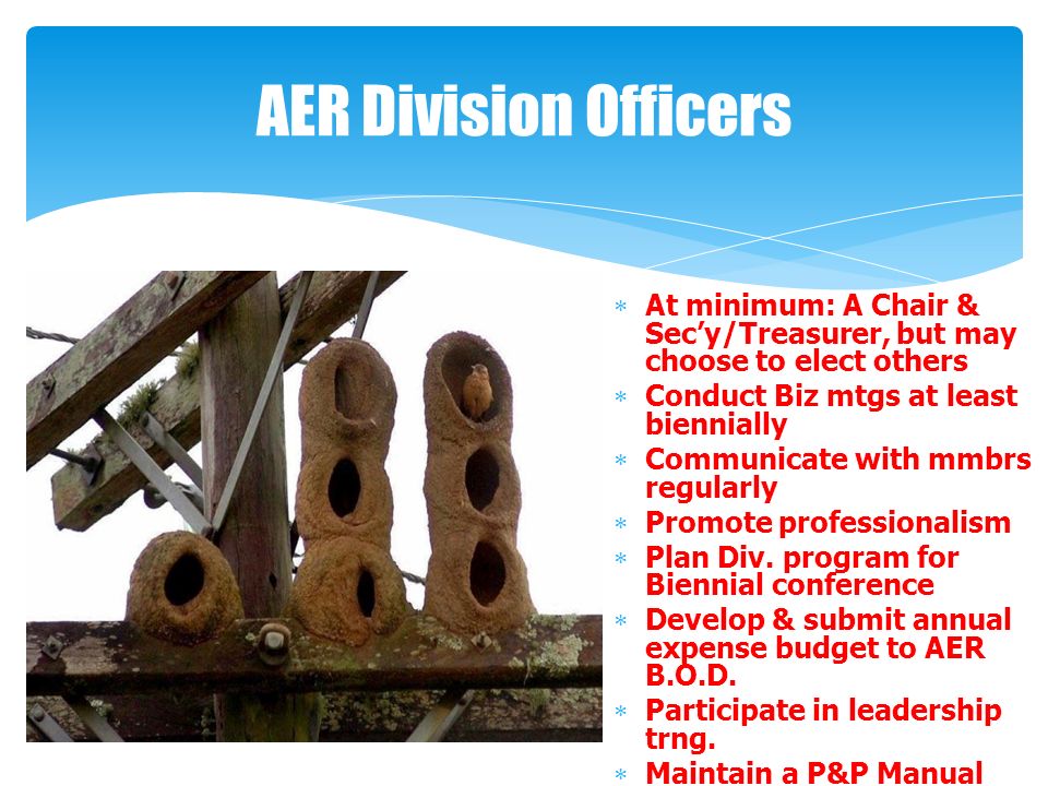 AER Division Officers  At minimum: A Chair & Sec’y/Treasurer, but may choose to elect others  Conduct Biz mtgs at least biennially  Communicate with mmbrs regularly  Promote professionalism  Plan Div.