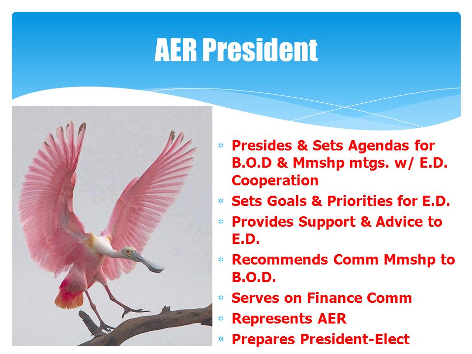 AER President  Presides & Sets Agendas for B.O.D & Mmshp mtgs.