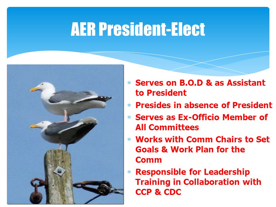 AER President-Elect  Serves on B.O.D & as Assistant to President  Presides in absence of President  Serves as Ex-Officio Member of All Committees  Works with Comm Chairs to Set Goals & Work Plan for the Comm  Responsible for Leadership Training in Collaboration with CCP & CDC