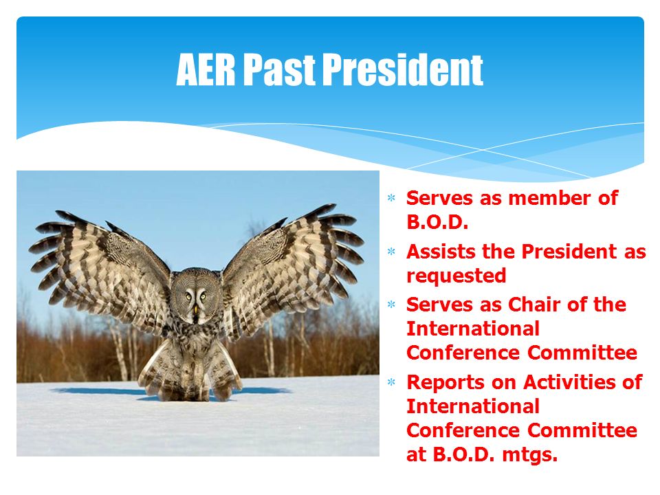 AER Past President  Serves as member of B.O.D.
