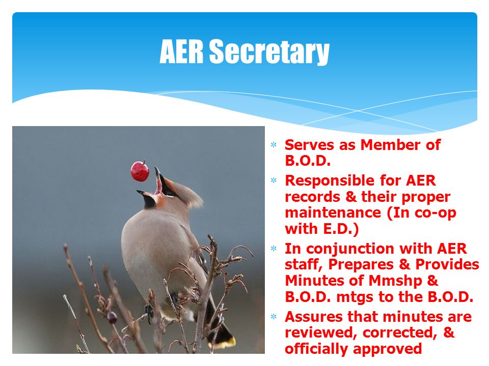 AER Secretary  Serves as Member of B.O.D.