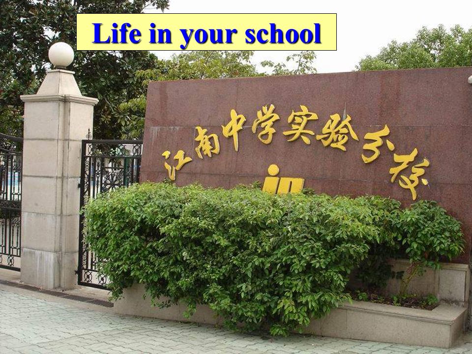 Life in your school