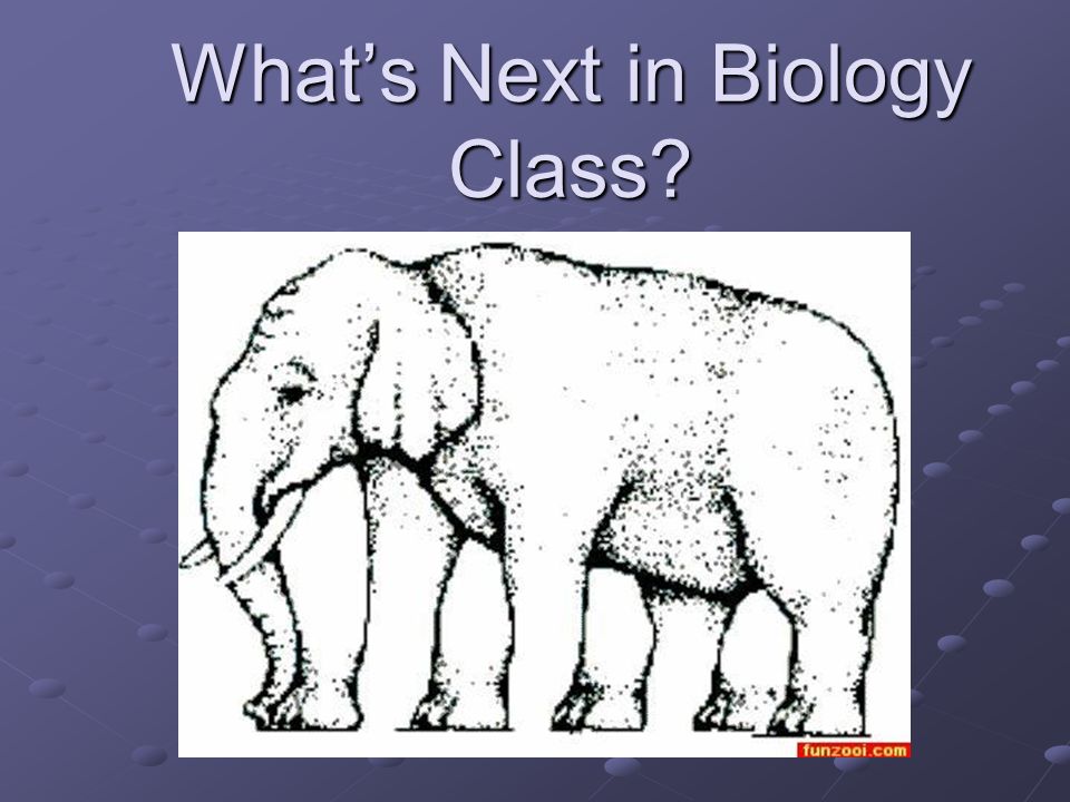 What’s Next in Biology Class