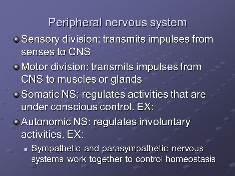 Peripheral nervous system Sensory division: transmits impulses from senses to CNS Motor division: transmits impulses from CNS to muscles or glands Somatic NS: regulates activities that are under conscious control.