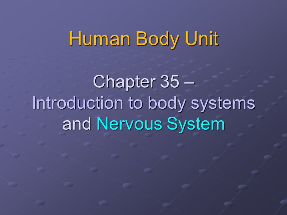 Human Body Unit Chapter 35 – Introduction to body systems and Nervous System