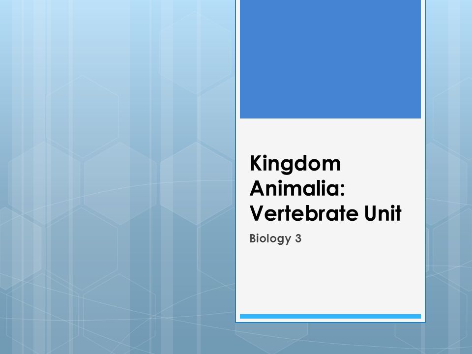 Kingdom Animalia: Vertebrate Unit Biology 3
