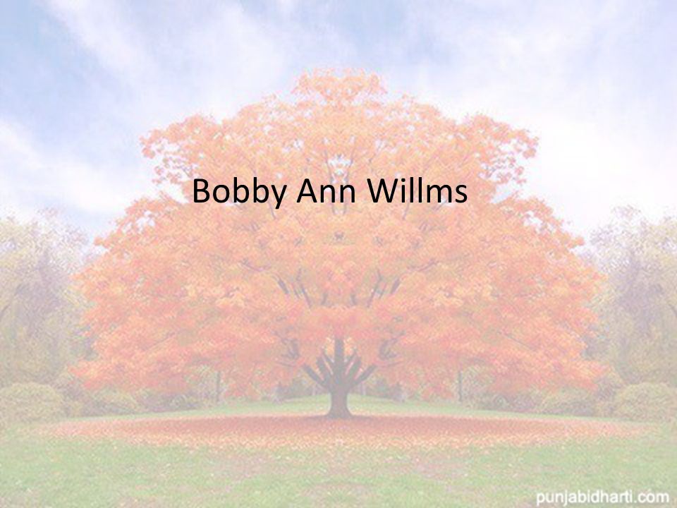 Bobby Ann Willms