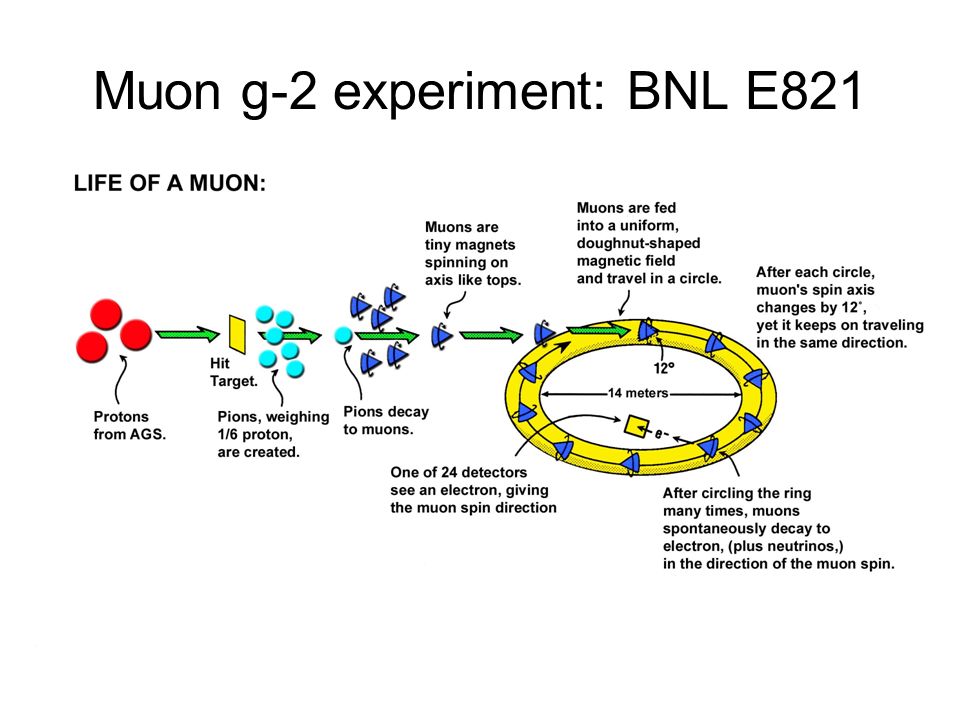 Muon g-2 experiment: BNL E821