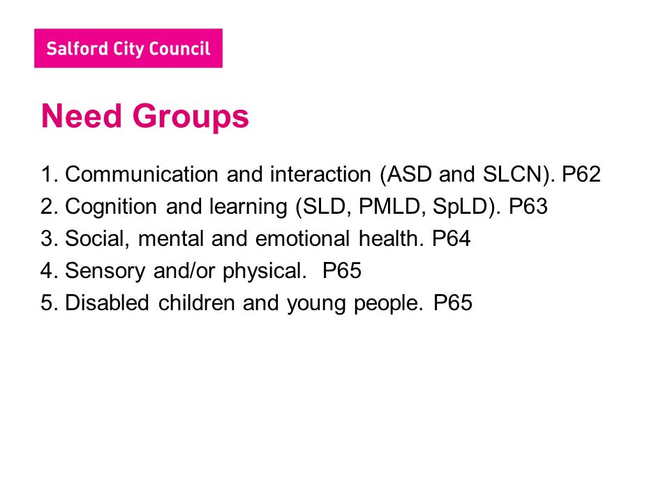 Need Groups 1. Communication and interaction (ASD and SLCN).
