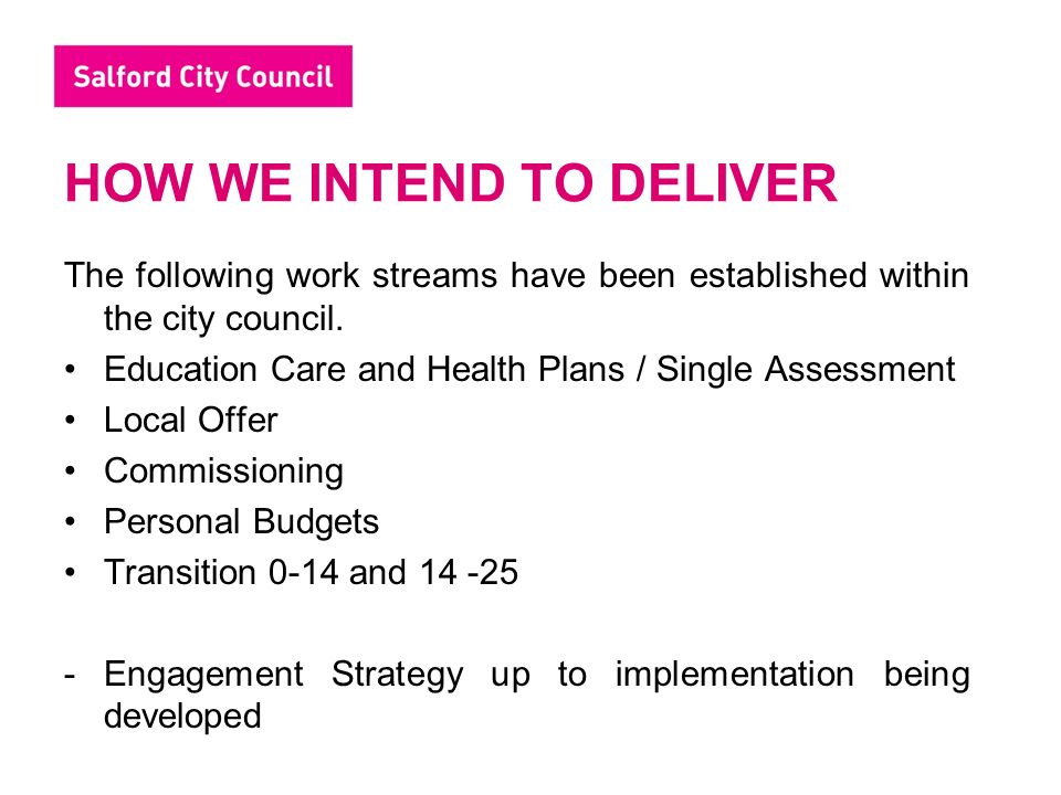HOW WE INTEND TO DELIVER The following work streams have been established within the city council.