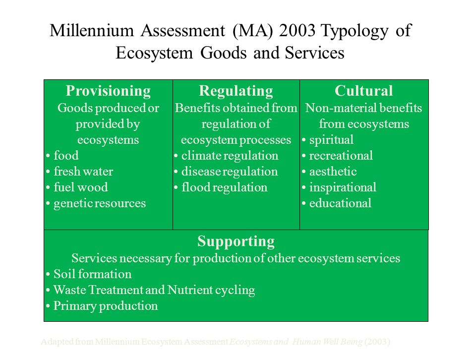 Millennium Assessment (MA) 2003 Typology of Ecosystem Goods and Services Regulating Benefits obtained from regulation of ecosystem processes climate regulation disease regulation flood regulation Provisioning Goods produced or provided by ecosystems food fresh water fuel wood genetic resources Cultural Non-material benefits from ecosystems spiritual recreational aesthetic inspirational educational Supporting Services necessary for production of other ecosystem services Soil formation Waste Treatment and Nutrient cycling Primary production Adapted from Millennium Ecosystem Assessment Ecosystems and Human Well Being (2003)