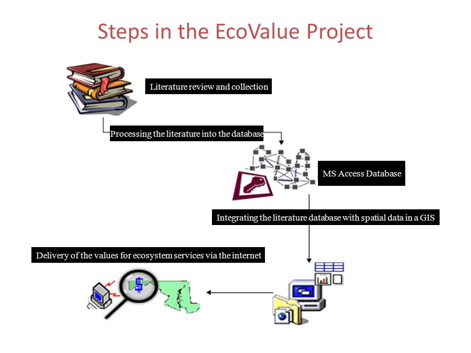 Steps in the EcoValue Project Literature review and collection Processing the literature into the database MS Access Database Integrating the literature database with spatial data in a GIS Delivery of the values for ecosystem services via the internet