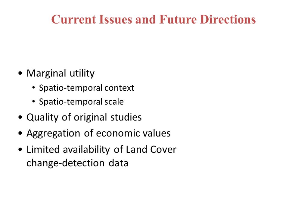 Current Issues and Future Directions Marginal utility Spatio-temporal context Spatio-temporal scale Quality of original studies Aggregation of economic values Limited availability of Land Cover change-detection data