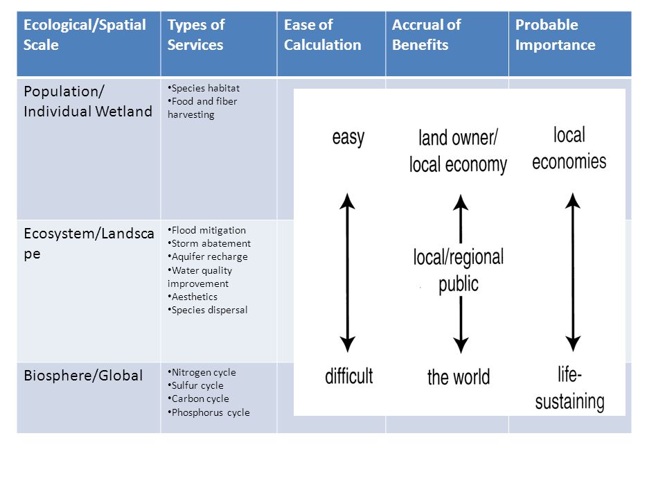 Ecological/Spatial Scale Types of Services Ease of Calculation Accrual of Benefits Probable Importance Population/ Individual Wetland Species habitat Food and fiber harvesting Ecosystem/Landsca pe Flood mitigation Storm abatement Aquifer recharge Water quality improvement Aesthetics Species dispersal Biosphere/Global Nitrogen cycle Sulfur cycle Carbon cycle Phosphorus cycle