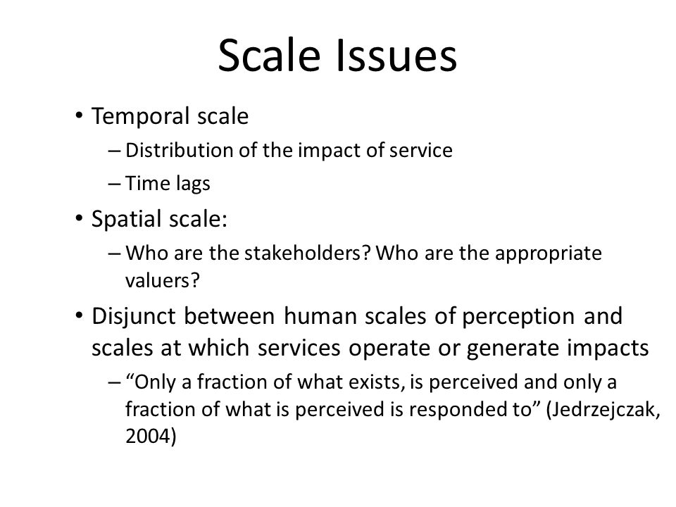 Scale Issues Temporal scale – Distribution of the impact of service – Time lags Spatial scale: – Who are the stakeholders.