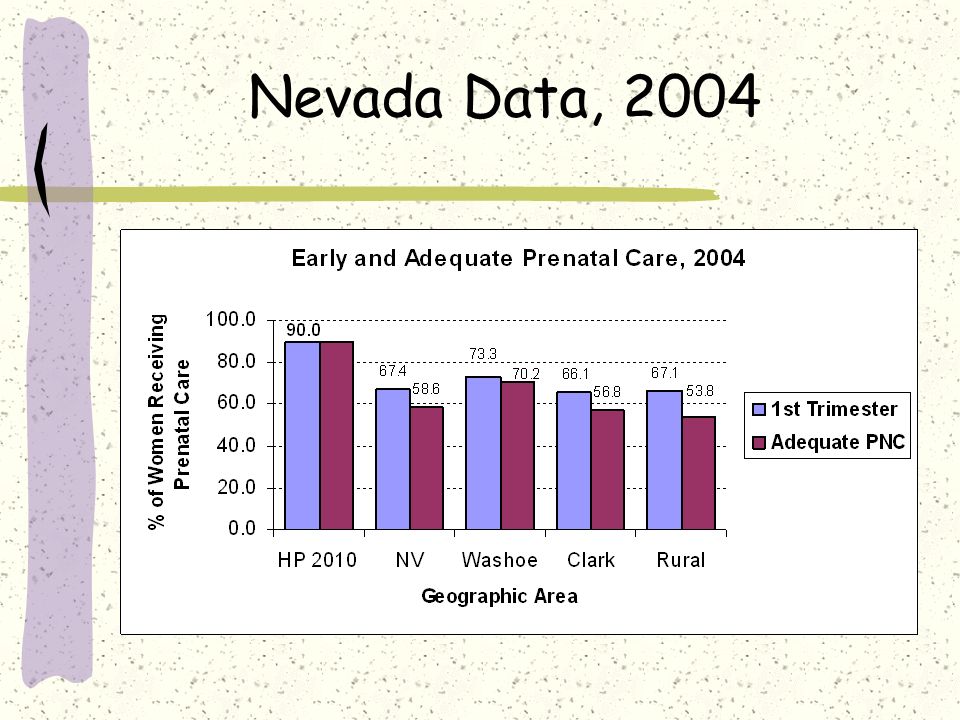 Nevada Data, 2004
