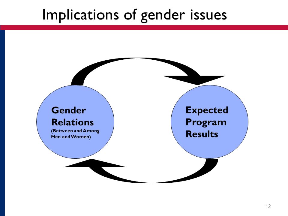 Implications of gender issues Gender Relations (Between and Among Men and Women) Expected Program Results 12