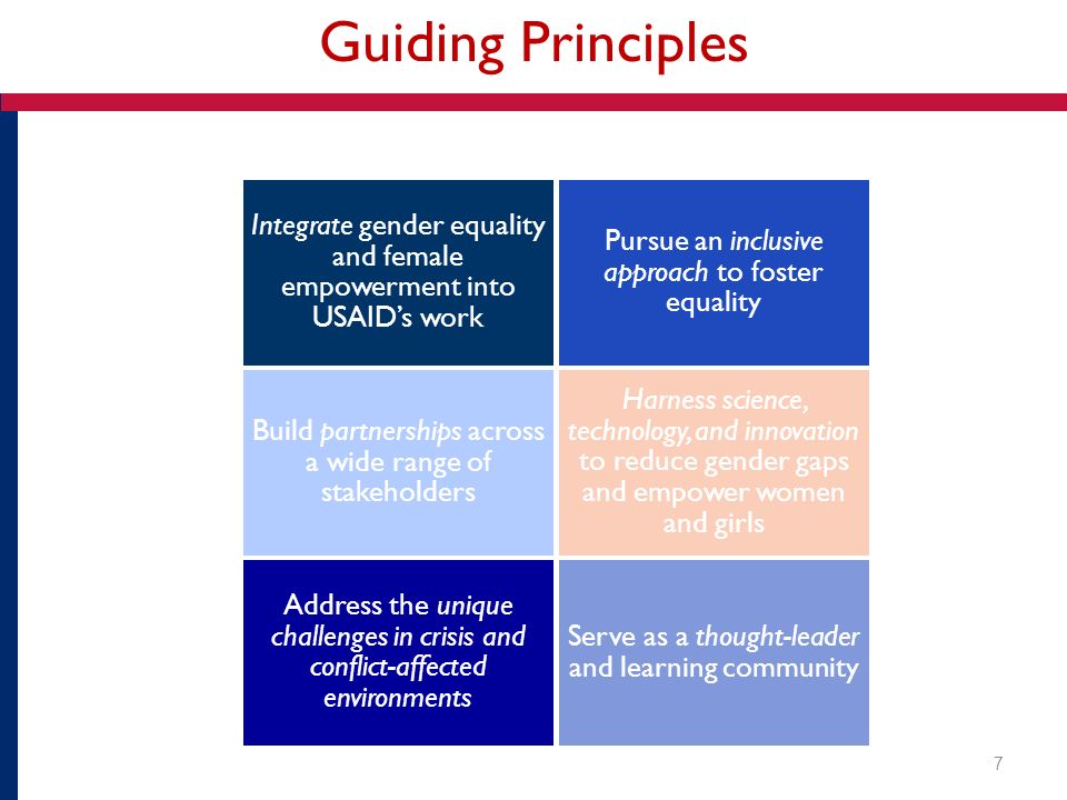 Guiding Principles Integrate gender equality and female empowerment into USAID’s work Pursue an inclusive approach to foster equality Build partnerships across a wide range of stakeholders Harness science, technology, and innovation to reduce gender gaps and empower women and girls Address the unique challenges in crisis and conflict-affected environments Serve as a thought-leader and learning community 7